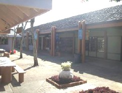 Coconut Marketplace